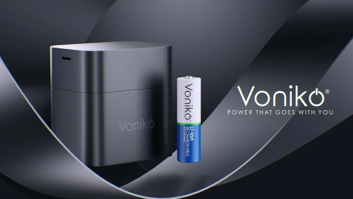 Leak-Resistant vs. Standard Alkaline Batteries: What Makes One Safer for Electronics?
